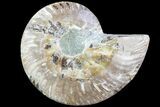 Agatized Ammonite Fossil (Half) - Madagascar #83844-1